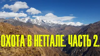 Охота в Непале. Часть 2. Гималайский тар. Hunting in Nepal part #2. Himalayan Tahr.