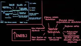 Bipolar Bozukluğun Teşhisi (Sağlık: Akıl Sağlığı) (Psikoloji / Akıl Sağlığı)