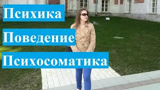 Психика и ментализация, поведение, психосоматика. Психоанализ