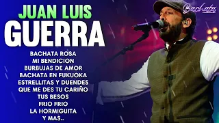 Juan Luis Guerra EXITOS, EXITOS, EXITOS Sus Mejores Canciones - Juan Luis Guerra Mix