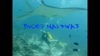 Buceo en Maldivas 4k
