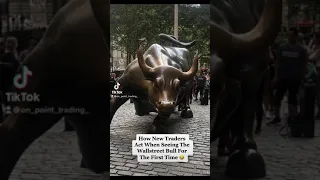 How New Trader's Act When visiting The Wall Street Bull