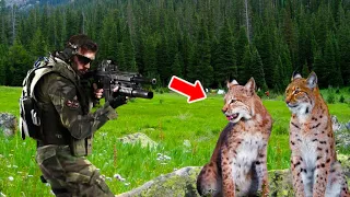 Poor Soldier Lost Everything He Had, But When He Met These Lynxes, The Unthinkable Happened!