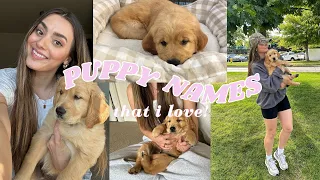 Unique + Cute Puppy Names That I Love!