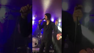 Ville Valo &  Agents - Olet mun kaikuluotain !