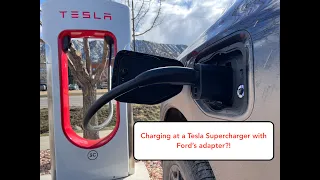 F150 Lightning using Ford Adapter at Tesla Supercharger!