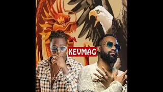 Fally IPUPA ft RJ Kaniera : TIA (clip non officiel)