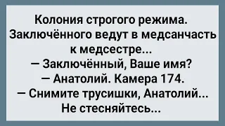 Заключенный с Большим Хозяйством! Сборник Свежих Анекдотов! Юмор!