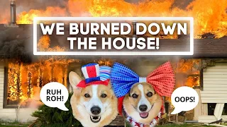 Dogs Set House on FIRE while Filming an OLYMPIC Tiktok!