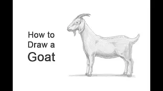 How to Draw a Goat