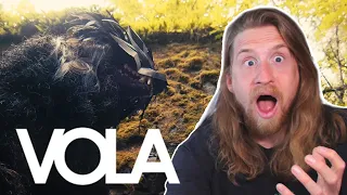 VOLA - Paper Wolf | METAL MUSIC VIDEO PRODUCER REACT