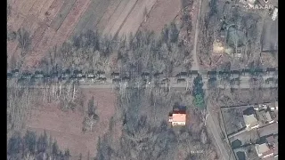 Satellite Images Show Russian Military Convoy in Ukraine