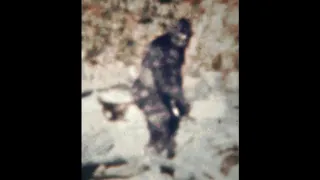 Patterson Bigfoot Film Anniversary