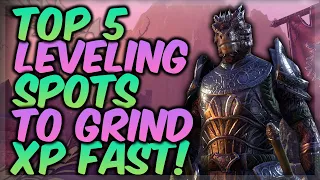 Best ESO Levelling Guide 2022! Top 5 Grind Spots To Level From 1-50 In The Elder Scrolls Online!