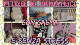 🌸PULIZIE di PRIMAVERA🌸INIZIAMO con CALMA e SENZA STRESS🌸PARTE 1🌸