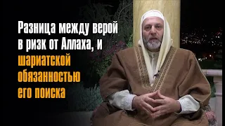 Разница между верой в ризк от Аллаха, и шариатской обязанностью его поиска