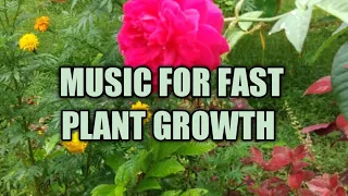 Music for plant growth - Music stimulation for PLANT HEALTH - Fast growth,flowering,fruiting