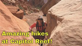 Tips for Hiking in Capitol Reef National Park