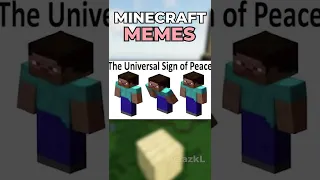 Minecraft Memes