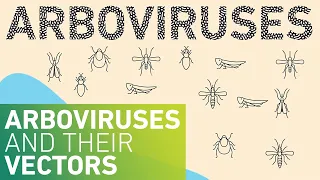 Arboviruses and their Vectors