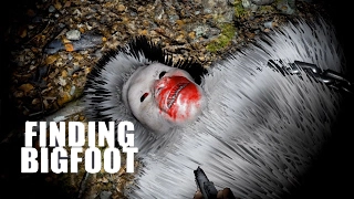 Finding Bigfoot - Смешные Моменты (TheBrainDit и AlexPozitiv) #41