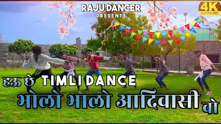 भोलो भालो आदिवासी || Timli Dance || Raju Dancer || Singer - Anandi lal Bhavel