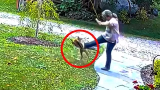 Rabies Infected Fox Attacks Woman In Her Yard