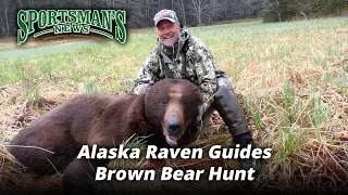 Alaska Raven Guides Brown Bear Hunt