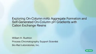 Exploring On-Column mAb Aggregate Formation and Self-Generated On-Column pH Gradients