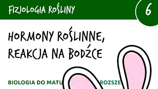 Hormony roślinne, reakcje roślin na bodźce - Fizjologia roślin 6 - matura z biologii rozszerzona