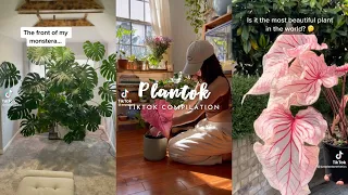 🌿✨plants✨🌿 | Plantok Tiktok Compilation