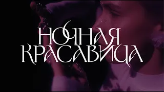 Шура Кузнецова - Ночная Красавица (VIDEO ALBUM)