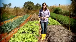 Agricultura Orgânica - Momento Ambiental