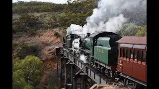 Pichi Richi Heritage Railway Double Header with Steam Locomotives W22 & W934 12th June 2021