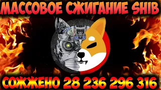 Массовое Сжигание Монет Shiba Inu - Метавселенная Ключ Цены 0.1$