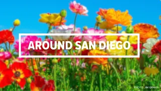 Around San Diego | Stories you may have missed from the week of March 18