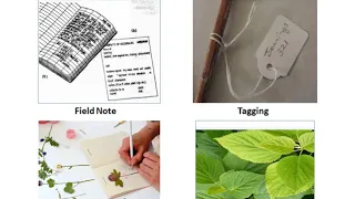 Herbarium technique, Part-2