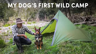 Wild Camping With My Dog By A River