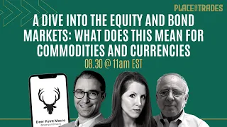 A Dive into the Equity and Bond Markets: What Does This Mean for Commodities and Currencies?