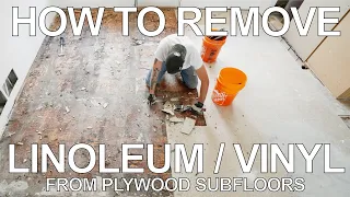 How to Remove Vinyl / Linoleum Tile and Adhesive from Plywood Subfloors