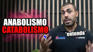 Anabolismo e catabolismo | Entenda