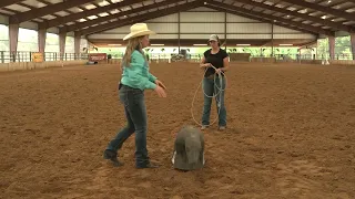 BreakawayRoping.com: Dummy Roping Lesson