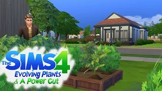 The Sims 4 - Evolving Plants & A Power Cut