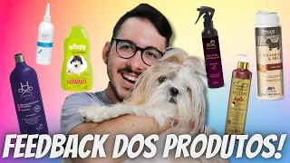 6 PRODUTOS INDISPENSÁVEIS PARA DEIXAR SEU SHIHTZU LINDO!