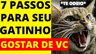 como fazer o meu gato gostar de mim ? 7 DICAS PODEROSAS para o seu GATO gostar mais de você !