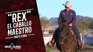 “Rex” el caballo maestro - Parte Final