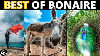 10 TOP BONAIRE THINGS TO DO (when NOT scuba diving)