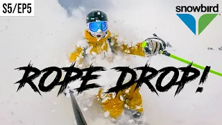 ROPE DROP on the CIRQUE at SNOWBIRD!