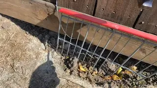 prevent dog digging under fence easy and free