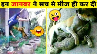 पता नहीं कहा से आते है ये बेवकूफ़ जानवर😝| Best Funny Indian Animal videos 2022 |Funny indian Animal